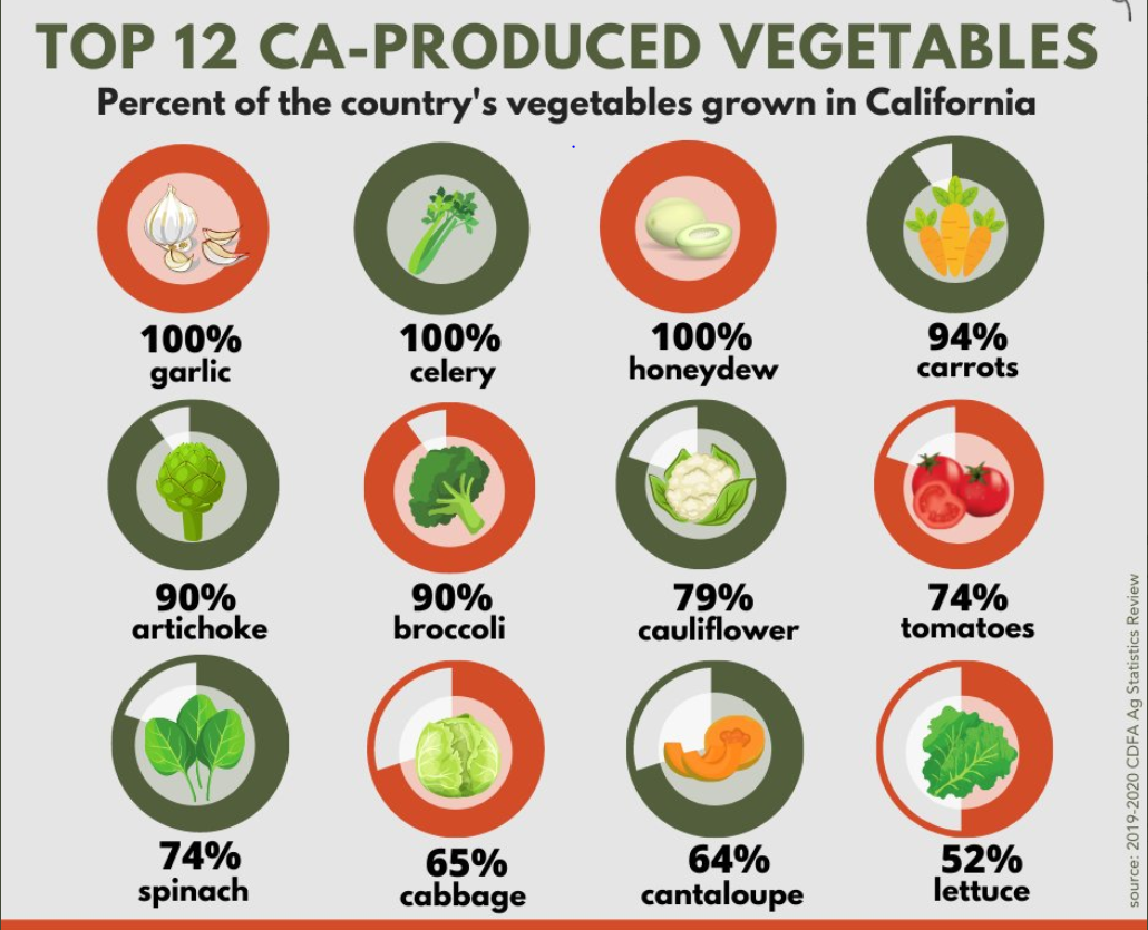 industry-marketing-award-of-the-week-california-vegetables-food